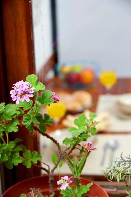 Apartment Central Garden Saldanha Lisbon